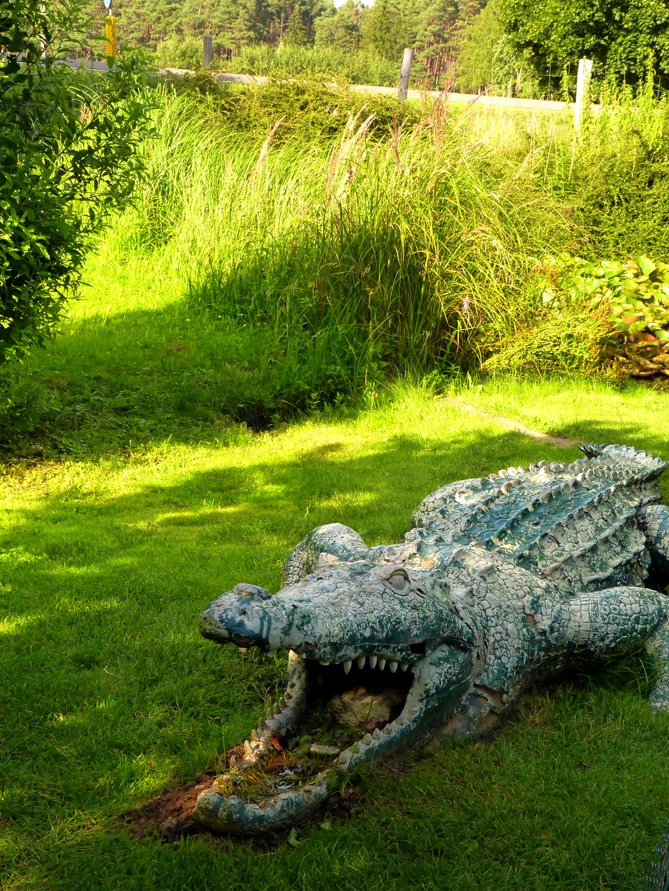 MINI ZOO PORT 2000 MOSTKI, LUBUSKIE DLA DZIECI