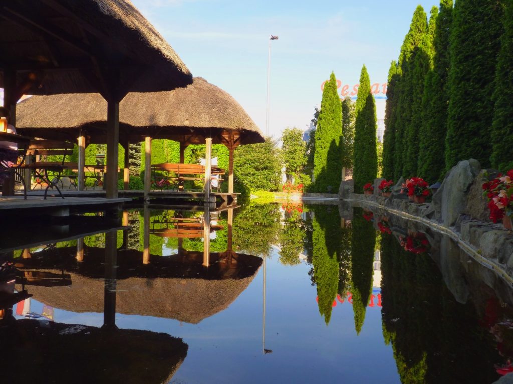 MINI ZOO PORT 2000 MOSTKI, LUBUSKIE DLA DZIECI