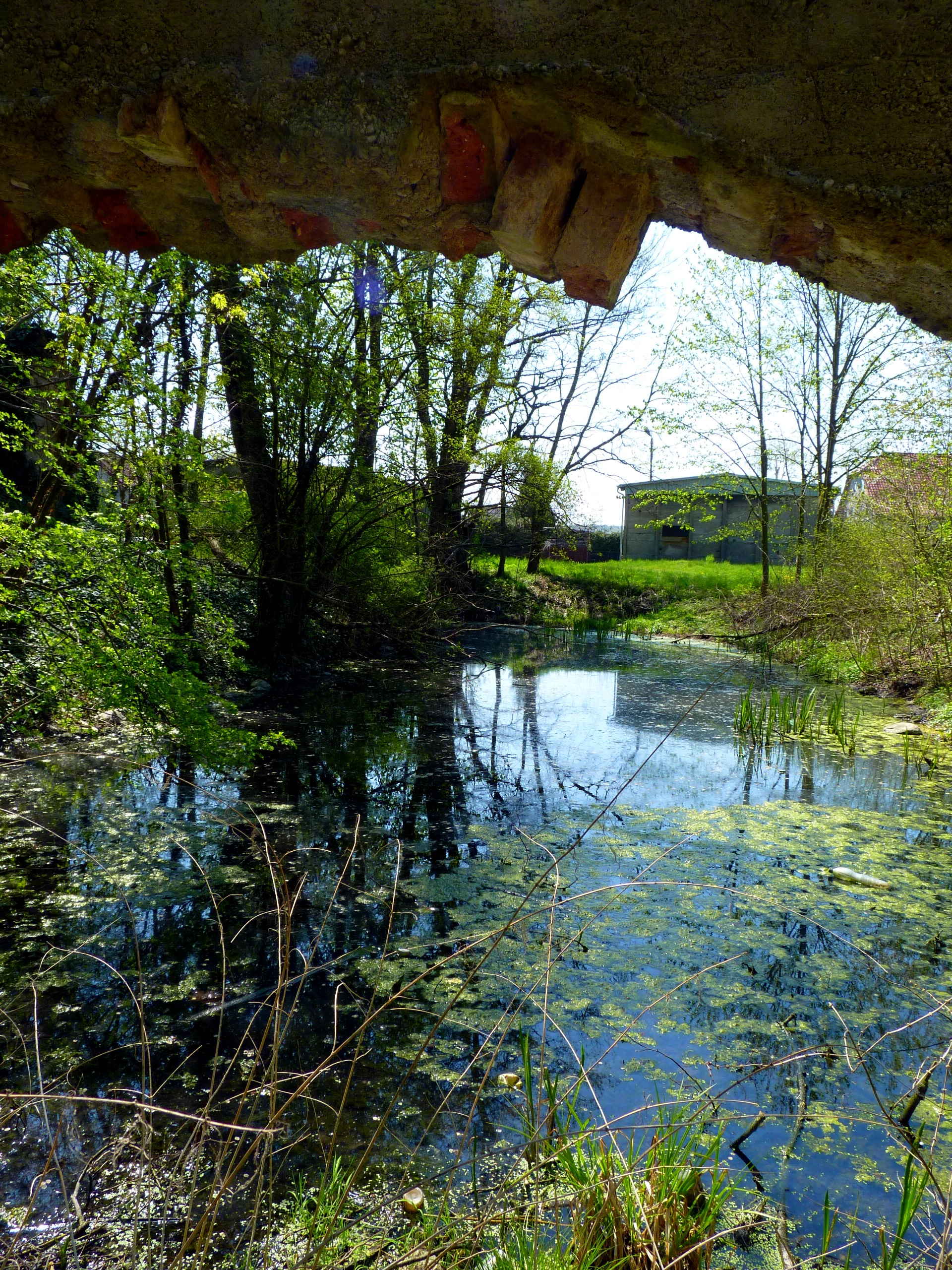 LUBUSKIE ŁAZIENKI MIROCIN GÓRNY I JEGO PAŁAC NA WODZIE.
