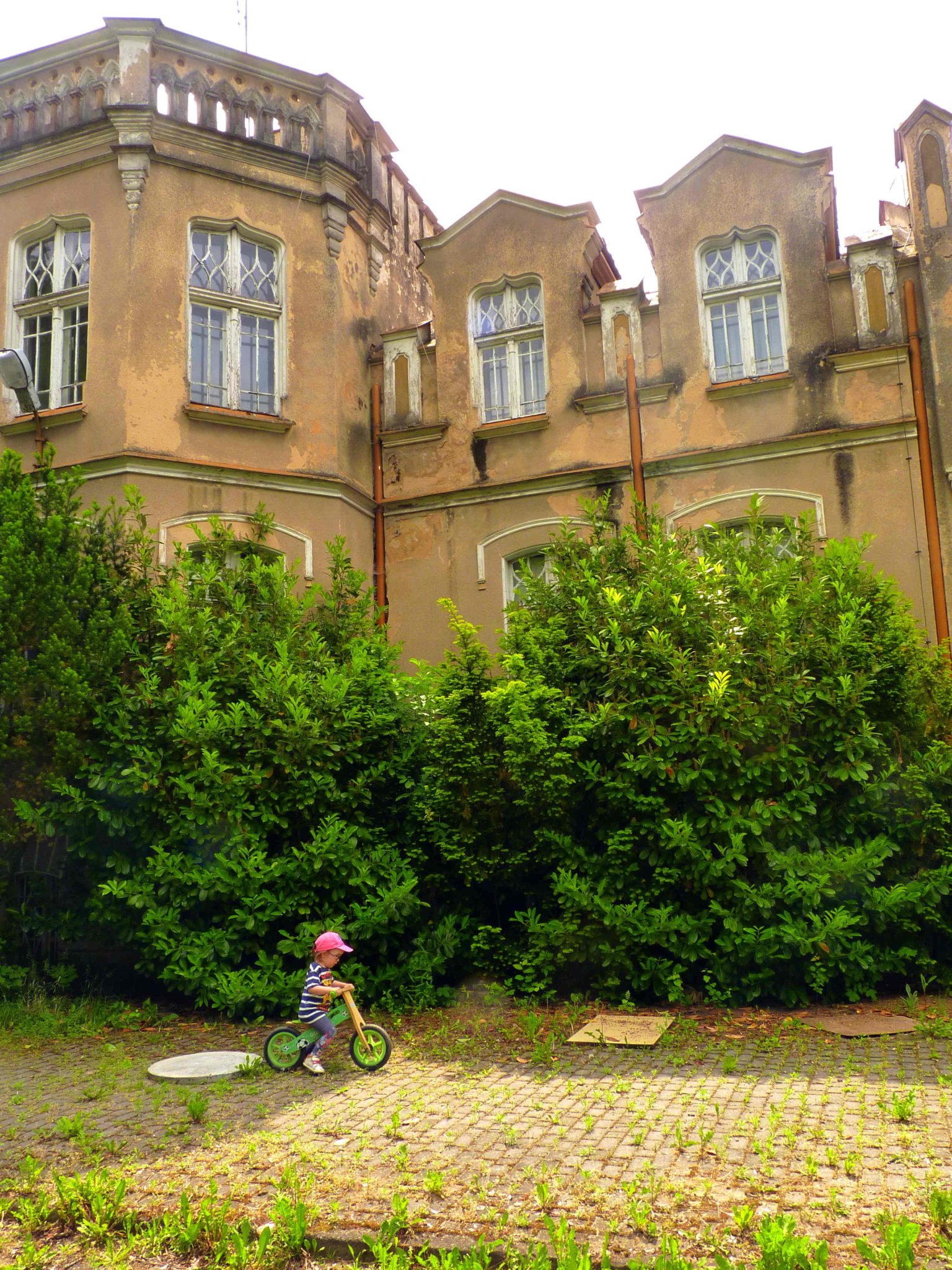 KOTOWO PAŁAC, PARK I SCHODY, woj. Wielkopolskie
