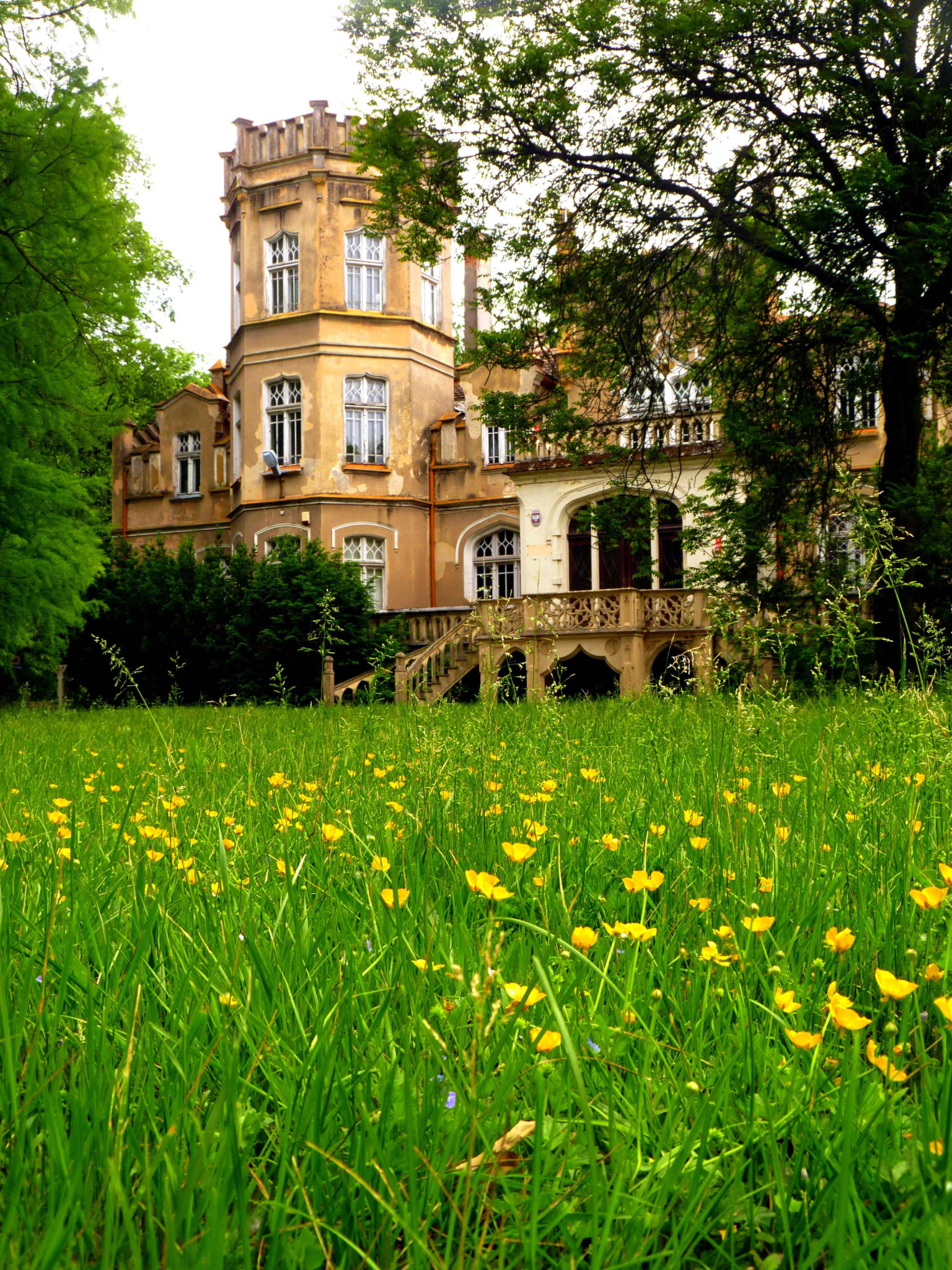 KOTOWO PAŁAC, PARK I SCHODY, woj. Wielkopolskie
